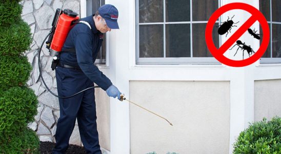 Kozan Dezenfeksiyon böcek ilaçlama ve haşere kontrolü — ilaclama-tr.com